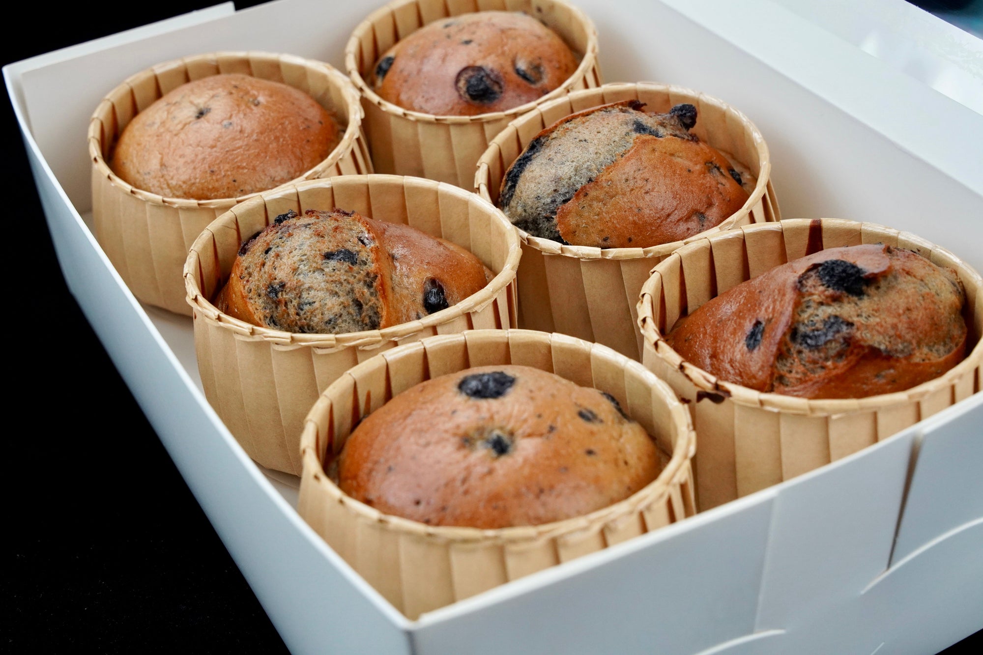 Blueberry Protein Muffins